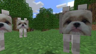 Illustration for article titled People, Don't Turn Your Dog into Real-Life MinecraftÂ